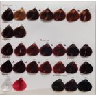 Alfaparf Evolution Hajfesték 60ml