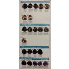 Fanola Hajfesték 100ml