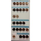 Fanola Hajfesték 100ml